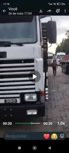 Scania 113 impecável