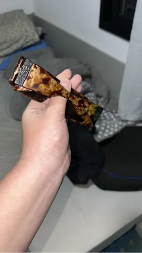 EVOKE bomber turtle