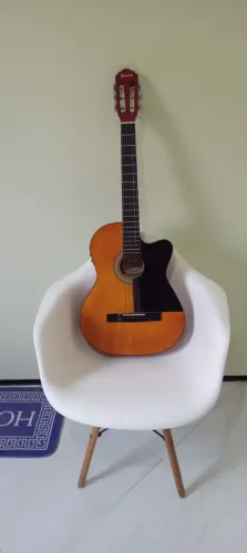 Violão Elétrico Giannini Aço <br>