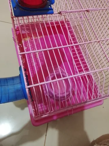 Gaiola hamster