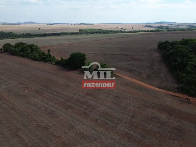 Fazenda 63 Alqueires (304,92 Hectares) Cezarina - GO