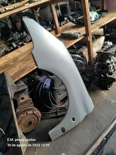 Paralama dianteiro direito Peugeot 206 2002 1.0