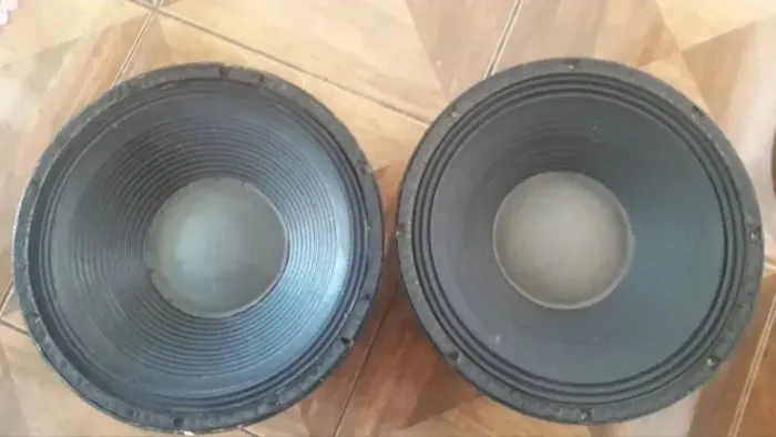 Vendo par de Auto falantes 15 Polegadas Wpu Selenium 450 wats cada em 8 Ohms.