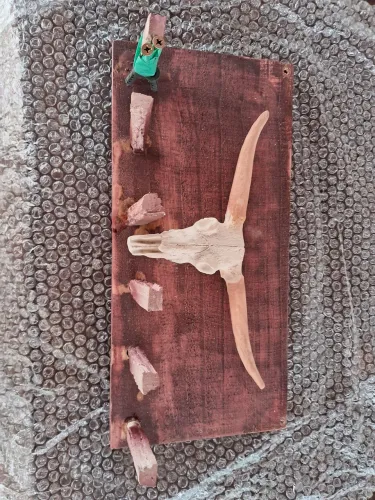 Porta chave caveira longhorn 