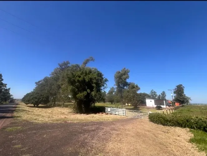 PROPRIEDADE RURAL A VENDA PRÓXIMA DE DEODÁPOLIS SENTIDO IVINHEMA