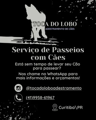 Passeios com Cães / Dog Walker