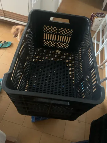 Caixa organizadora