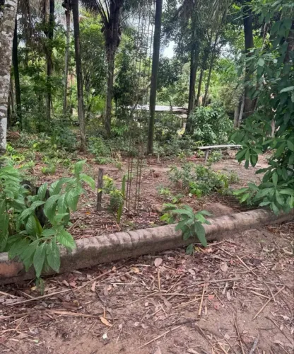 chacaras parceladas na serra grande 1 Cantá