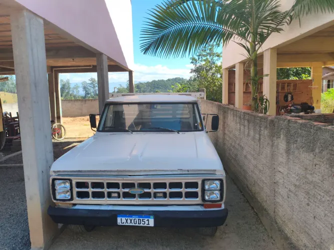 Camionete f100