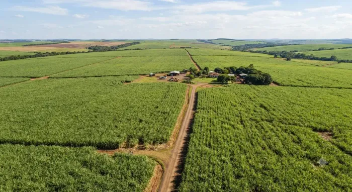 Fazenda 222 Alqueires em Monções/SP
