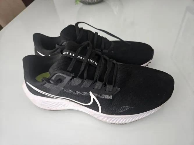 Tênis Nike Pegasus