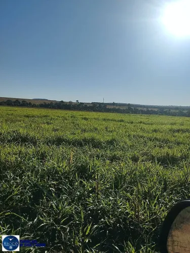 Fazenda à Venda em Doverlândia GO | 400 Alqueires