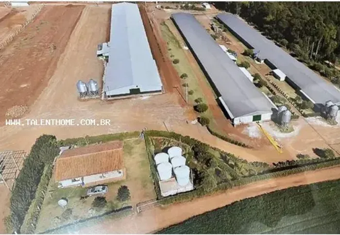 Imóvel Comercial para Venda em Roncador, RURAL