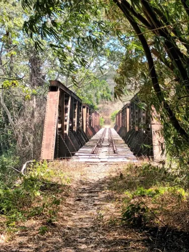 Faço de tudo um pouco 