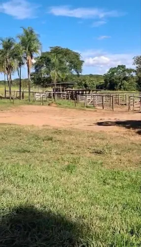 Fazenda pra pecuária em caldas novas
