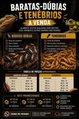 Baratas-Dúbias e Tenébrios à Venda