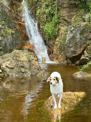 Terreno Exclusivo com Cachoeira e Piscina Natural no Vale do Cuiabá em Itaipava/RJ