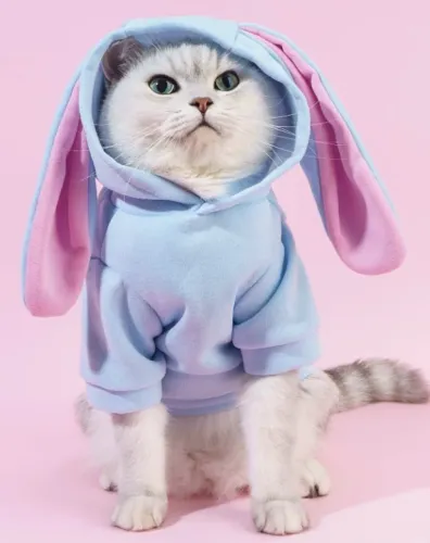 Moletom Stitch para Cachorros e Gatos