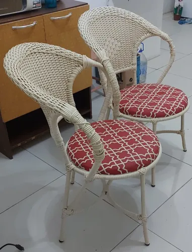 Duas Cadeiras para jardim ou varanda - estrutura de ferro revestido com fibras de plástico