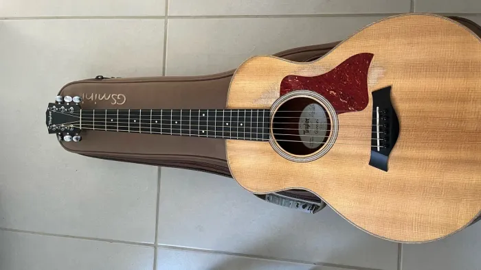 Taylor gs mini