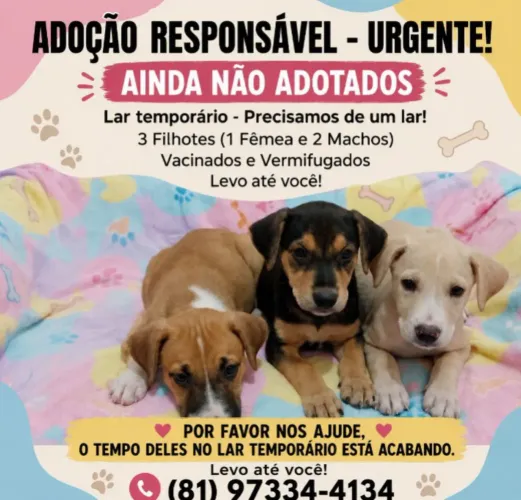 Adoção Responsável!