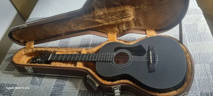 Viola