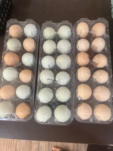Ovos caipira
