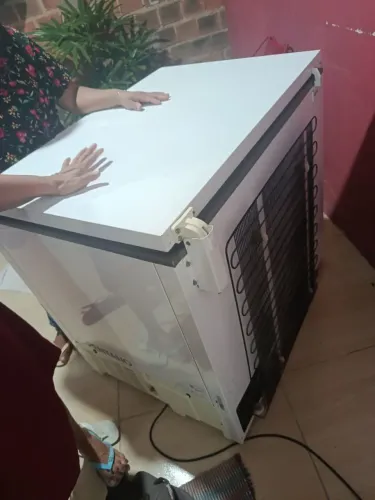 Freezer Consul 309L