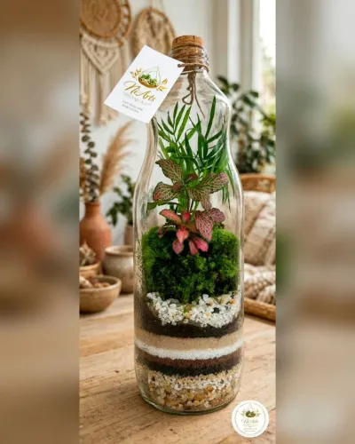 Terrário 