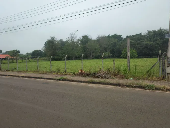Terreno floresta escura (prainha)