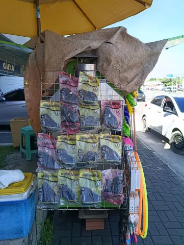 2 carroça uma de espetinho, cachorro quente e a outra normal
