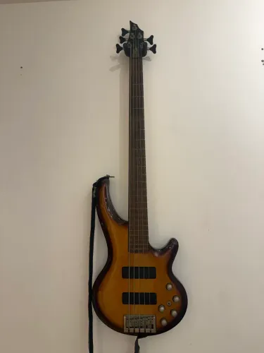 Baixo 5 cordas ativo