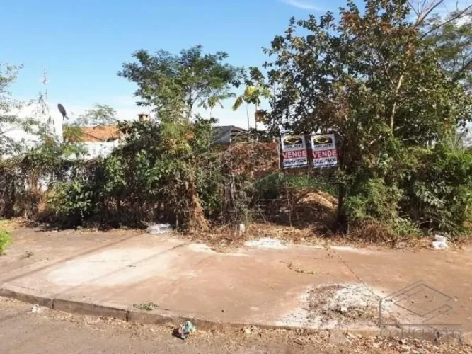 Terreno Padrão em Jaú