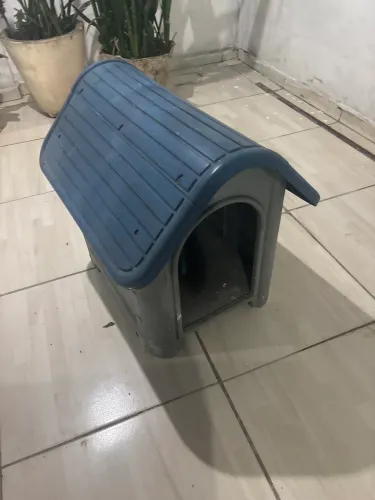 Casa de cachorro 