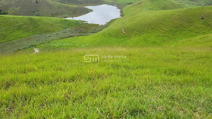 FAZENDA PARA 2.000 BOIS O ANO TODO  VALE DO PARAIBA  RJ