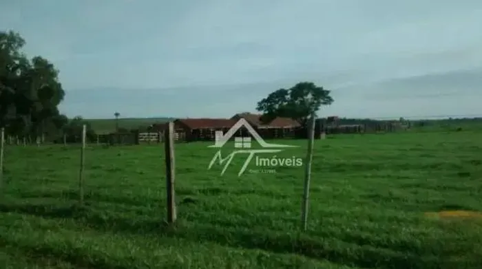 FAZENDA A VENDA NA REGIÃO DE ROSANA - SP