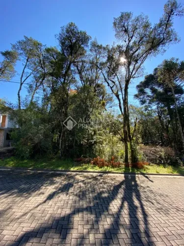 TERRENO EM GRAMADO, PLANO NO BAIRRO CARNIEL