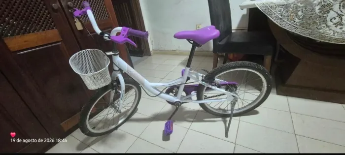 BICICLETA ARO 20