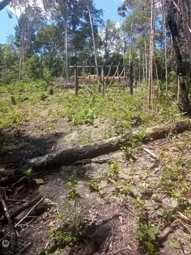 Terreno 200x100 km 86 rio preto da Eva