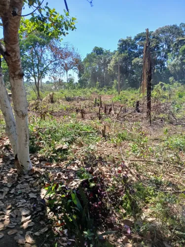 VENDO TROCO PARCELO UMA TERRA DE MEIA HECTARE 30X220 NA BACIA LEITERA NO RAMAL DO BOTO