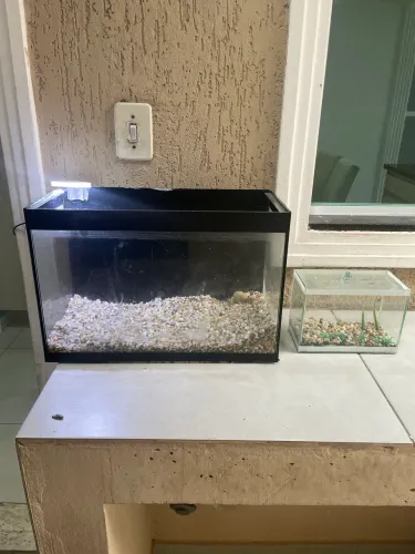 Aquário sem detalhes! 