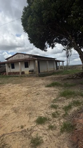 ? 2,9 hectares aproximadamente 3 hectares