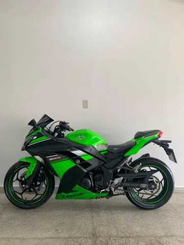 Kawasaki Ninja 300 2013