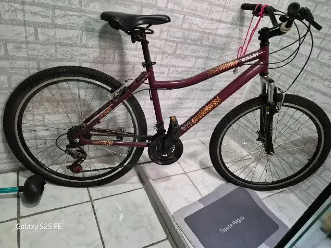 Bicicleta