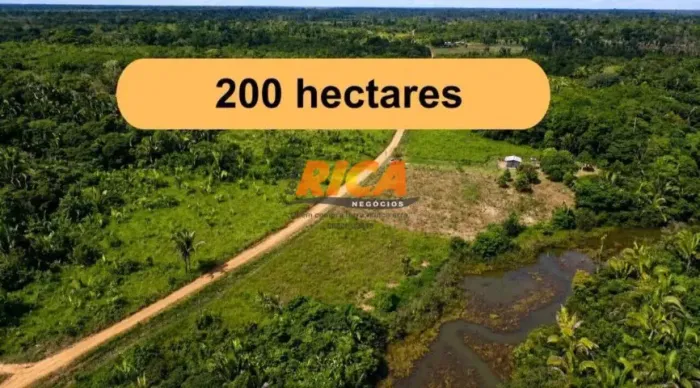 FAZENDA COM 200 HECTARES A 35 KM DE PORTO VELHO POR R$ 695.000