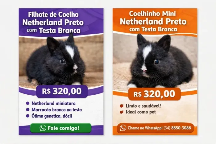 Filhotes lindos
