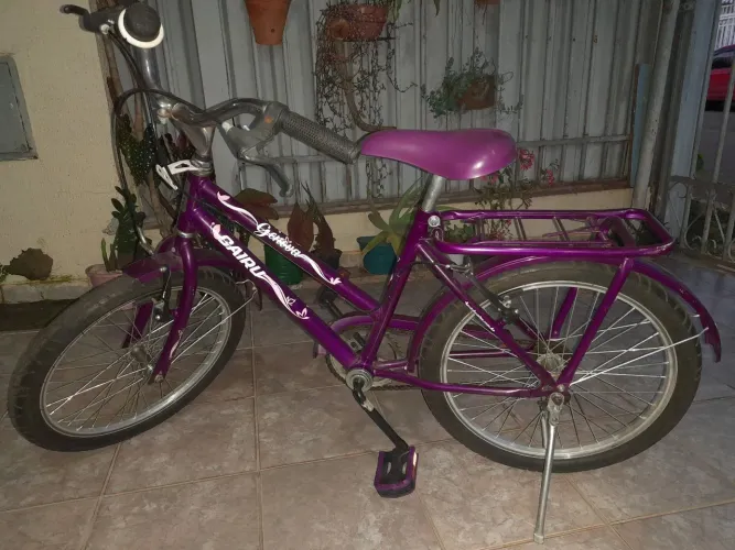 Bicicleta infantil aro 20 Roxinha