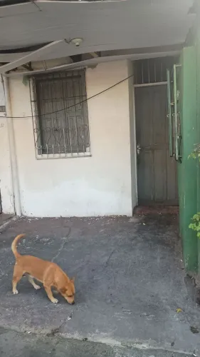 Aluga-se uma casa no bairro morro da liberdade