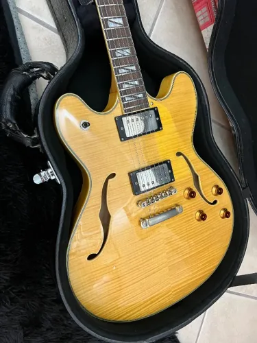 Guitarra Washburn Hb35 Semi Acústica Com Case Original
