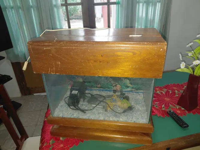 Aquário completo 30 L